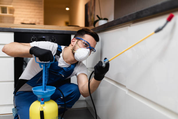 Best Wasp Removal Services  in Gas City, IN