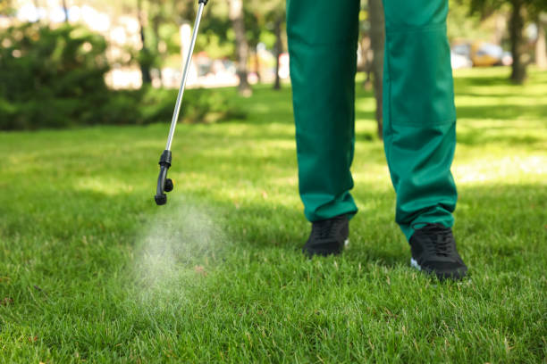 Professional Pest Control in Gas City, IN