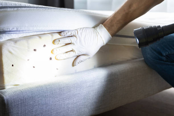 Best Best Pest Control Companies  in Gas City, IN