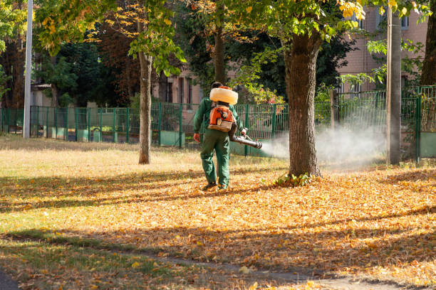 Best Exterminator Services  in Gas City, IN