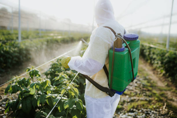 Best Pest Inspection Near Me  in Gas City, IN